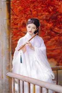 青山不见落花红精品选集