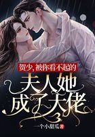 贺少被你看不起的夫人她成了大佬