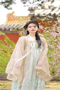 青山不见落花红小说